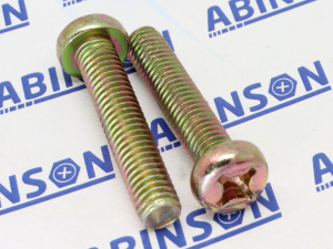 Pan Head M6 (6mm) x 30mm MS Phillips Steel MS Screws