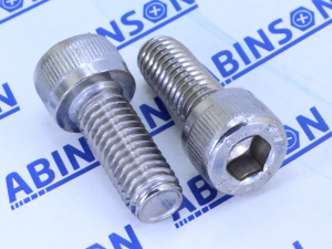 Socket Head M8 (8mm) x 20mm Allen Cap Stainless Steel SS Screw
