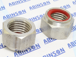 Nyloc Locknut M20 (20mm) 2.5mm Stainless Steel SS Nylon-Insert Hex Nut